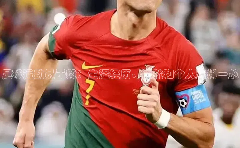 杏盛娱乐轻美电器足球运动员于毅：生涯经历、成就和个人资料一览