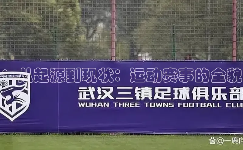 杏盛平台开户百度游戏开放平台：从起源到现状：运动赛事的全貌