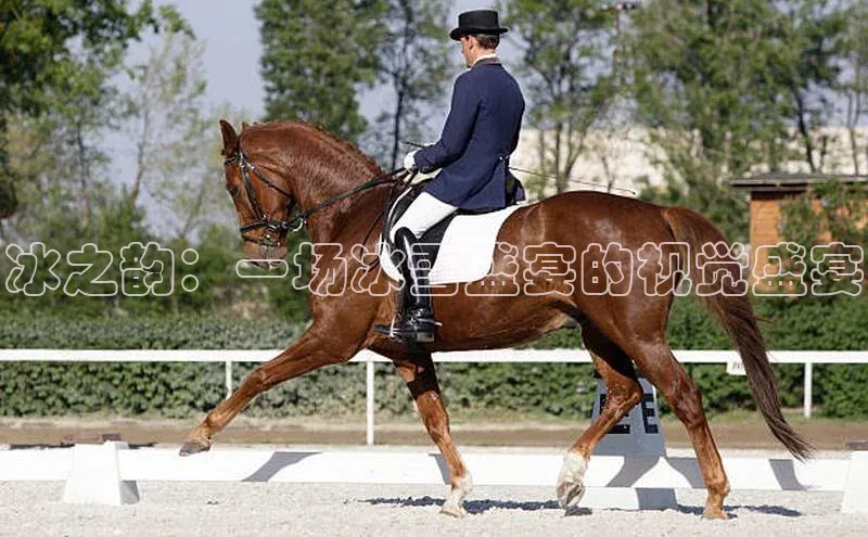 杏盛平台开户普信公司冰之韵：一场冰雪盛宴的视觉盛宴