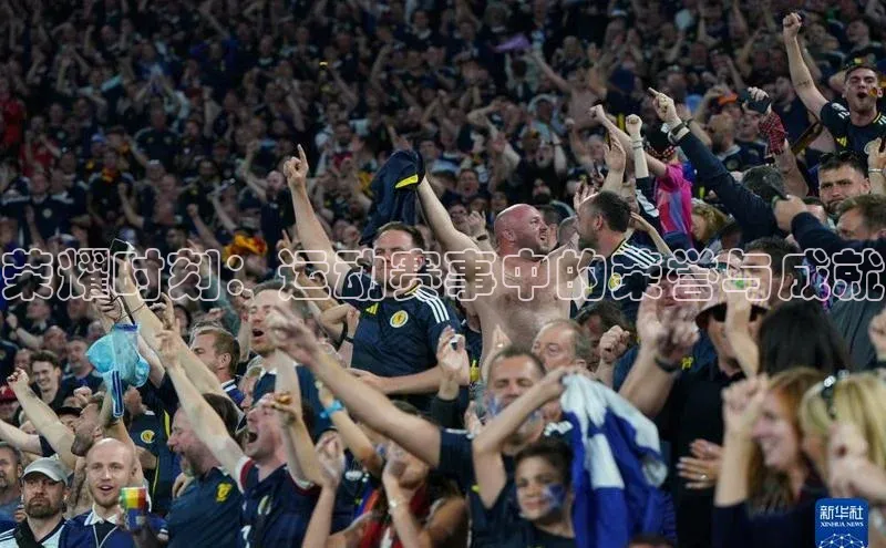 荣耀时刻：运动赛事中的荣誉与成就