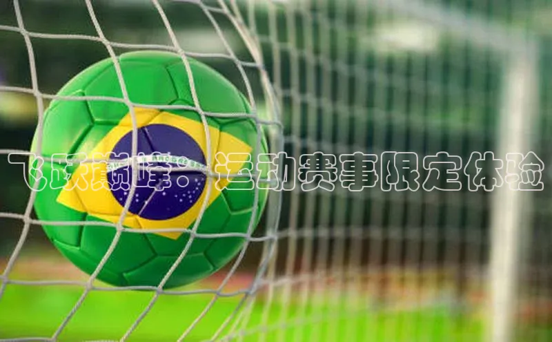 飞跃巅峰：运动赛事限定体验