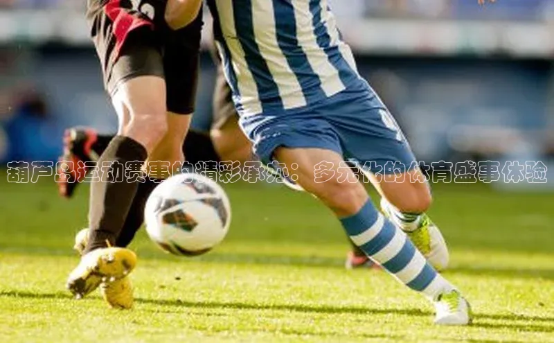 葫芦岛运动赛事的精彩承办：多元化的体育盛事体验