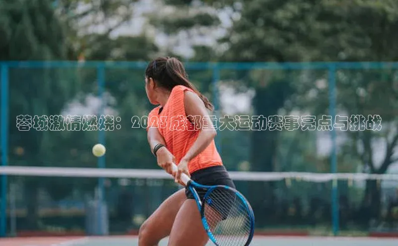 蓉城激情燃烧：2023成都重大运动赛事亮点与挑战