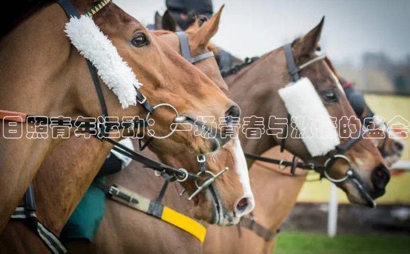 日照青年运动：一场青春与激情的盛会