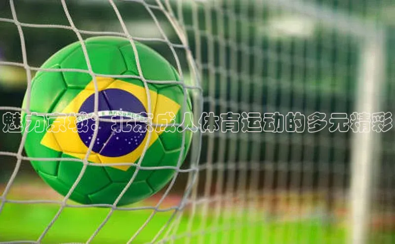 魅力京城：北京成人体育运动的多元精彩