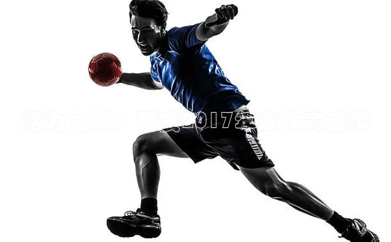 活力之城：西安2017年度体育盛事