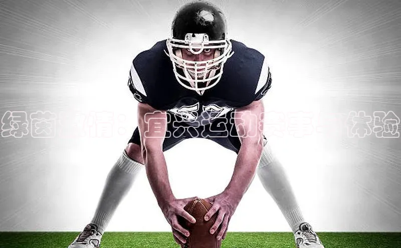 绿茵激情：宜兴运动赛事与体验