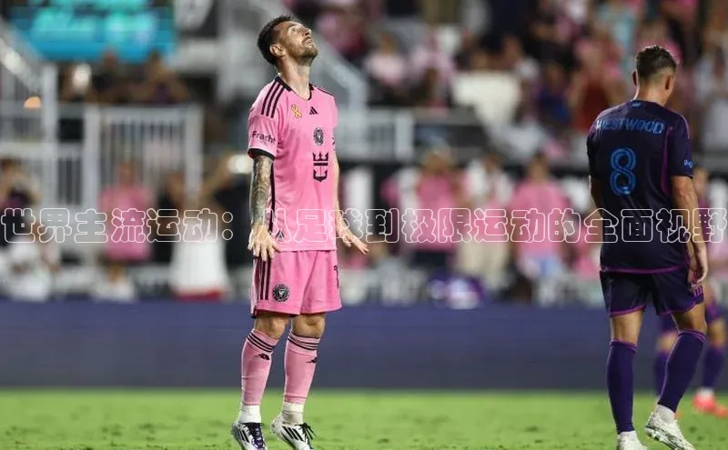 世界主流运动：从足球到极限运动的全面视野