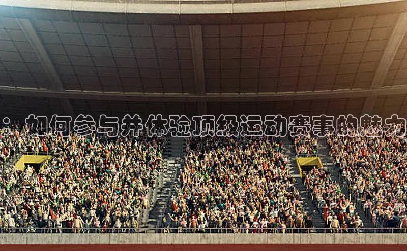 ：如何参与并体验顶级运动赛事的魅力