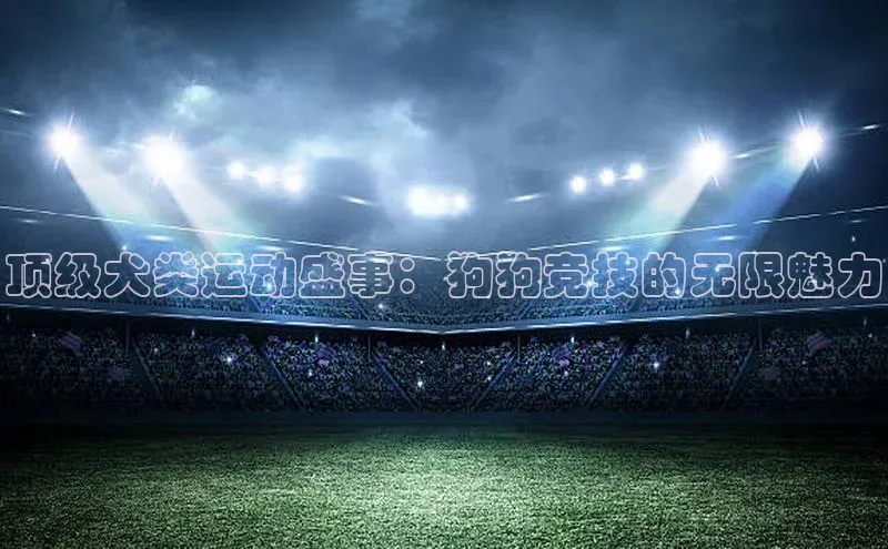 顶级犬类运动盛事：狗狗竞技的无限魅力