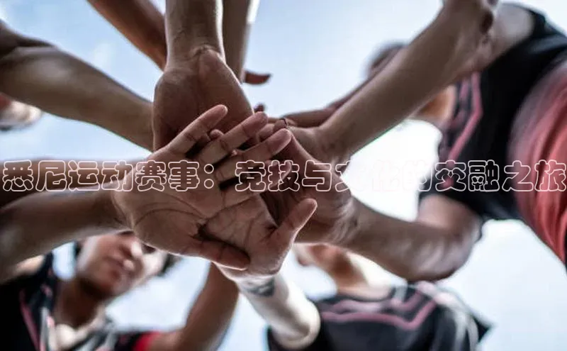 悉尼运动赛事：竞技与文化的交融之旅