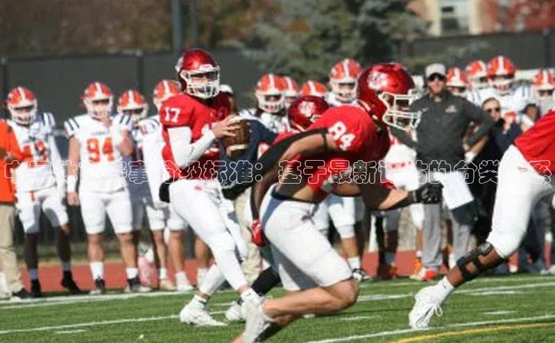 杏盛测速app官方下载最新版